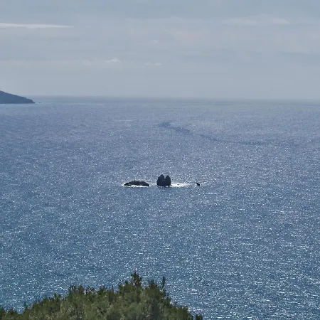 Pool With Panoramic Sea View - Beach, Corfu Pelekas